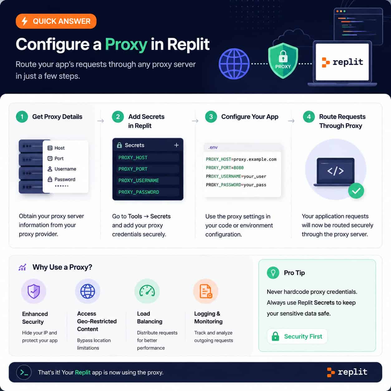 Professional infographic for article "Mastering Proxy Configuration in Replit: A Comprehensive Developer's Guide", section: