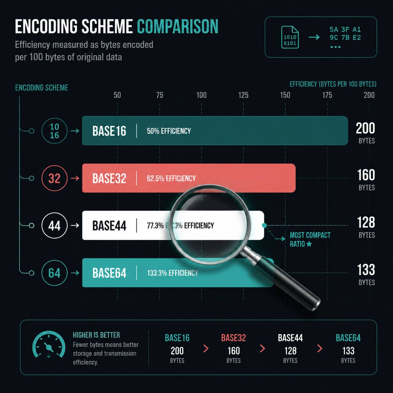 () infographic-style illustration showing a side-by-side comparison of data encoding schemes: Base16, Base32, Base44, and